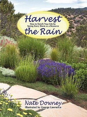 Harvest-the-Rain