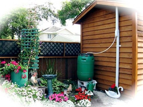 rain-water-collector