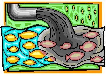 Storm drain pollution