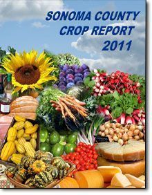 crop rpt cover