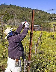 3349042379 6cf9987431 m