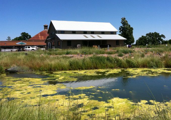 Education Center  pond