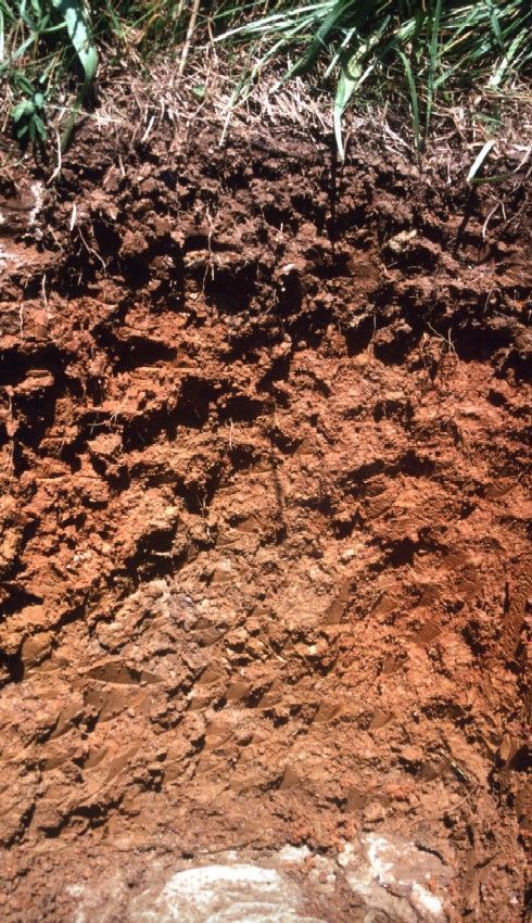 Soil_profile