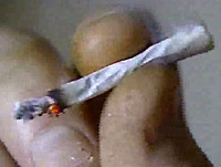cannabis-joint
