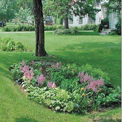Rain_garden