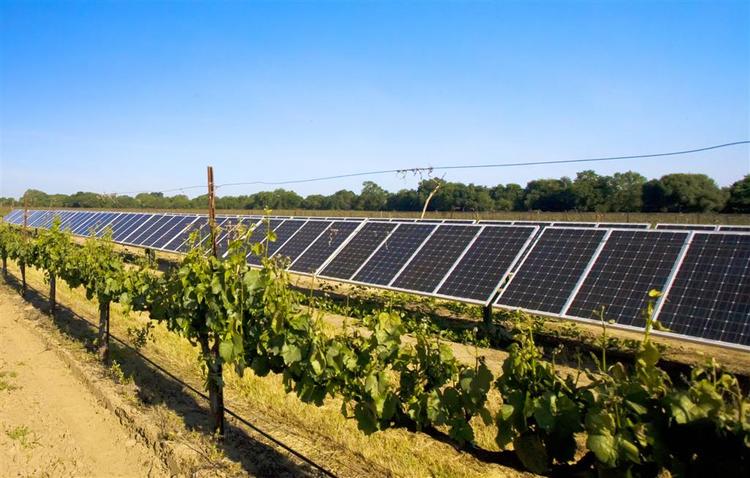 solar-panel-in-vineyard-large