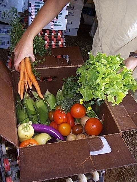 packing-csa-box