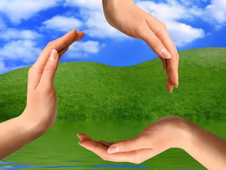 sustainability_metaphor_320