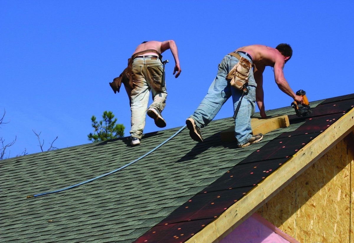 CalMatters undocumented