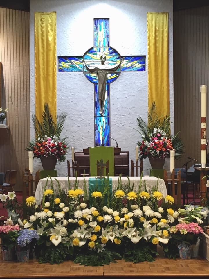 57798811 1630406773770424 2210516205784006656 n