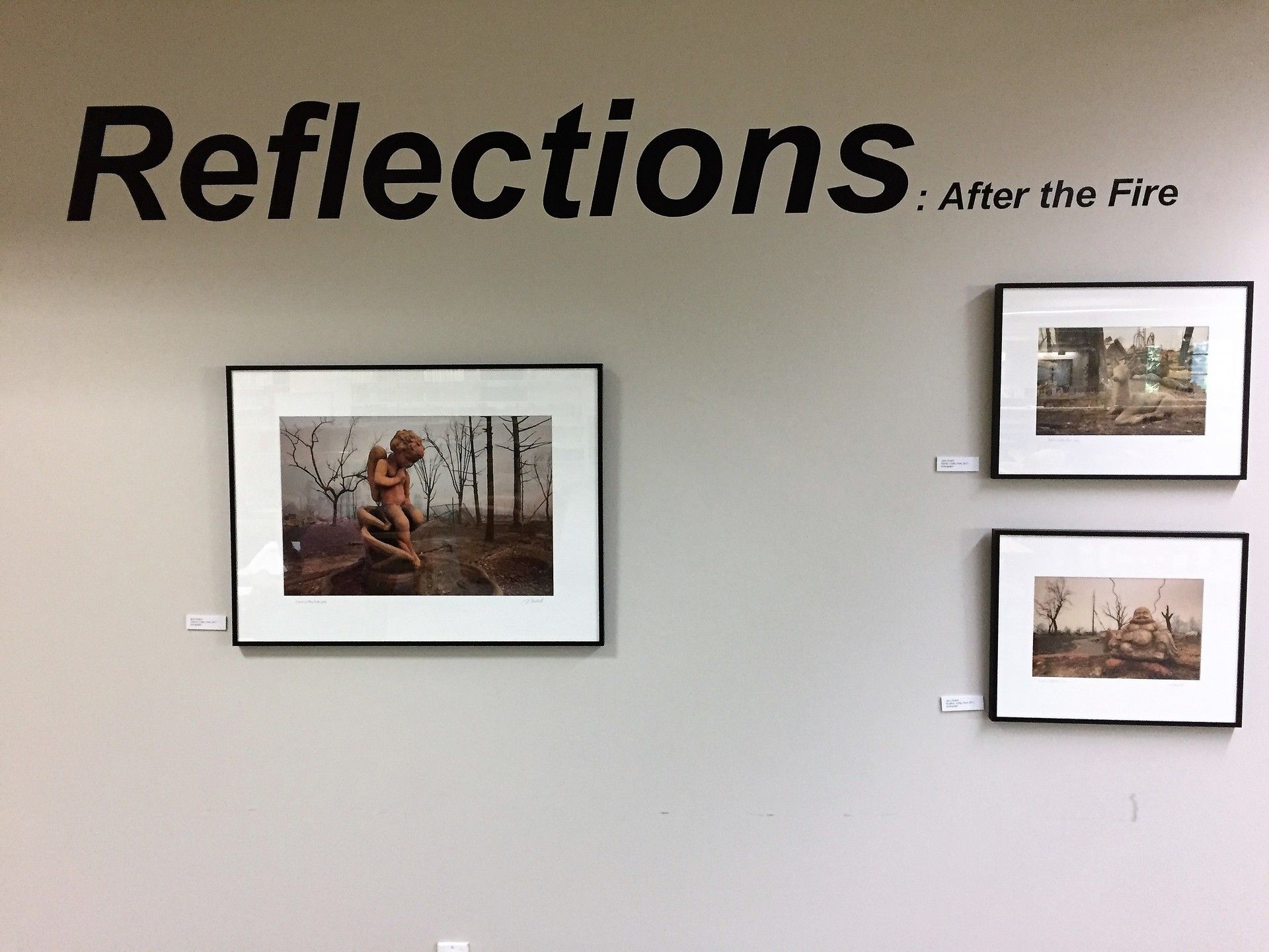 Reflection AFter Fire