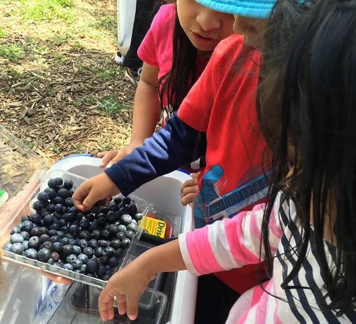 roseland free lunch cropped