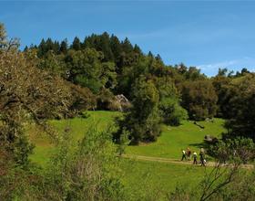 One of the trails crossing Bohemia Ranch, seen during greener days.