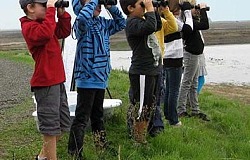 Classroom and Field Programs