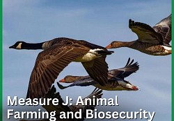 Biodiversity Measure J