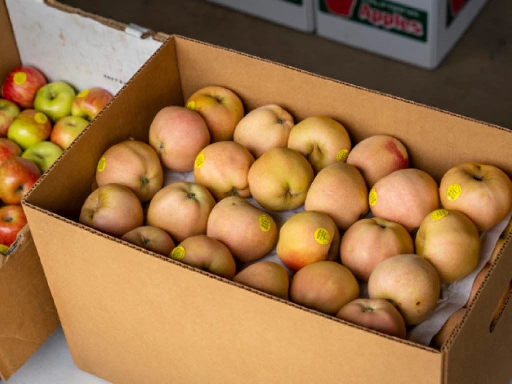 Apple box Gold Ridge - photo by Suzanne Becker Bronk